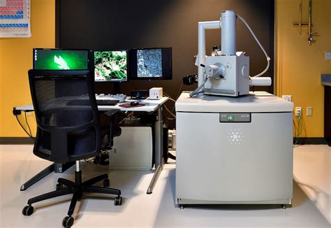scanning electron microscope limitations|Scanning Electron Microscope .